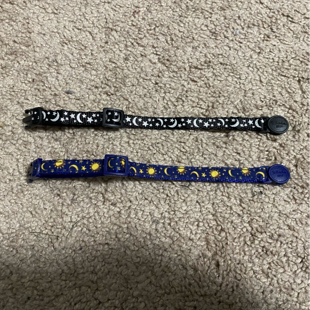 Kitten Collars